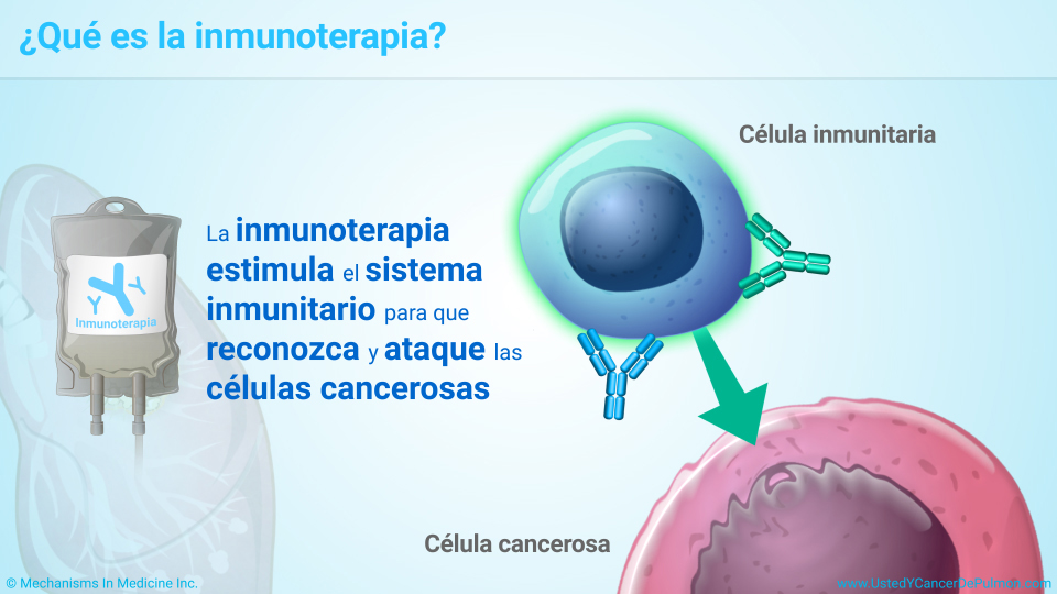 Presentación De Diapositivas - Comprender La Inmunoterapia Para El ...