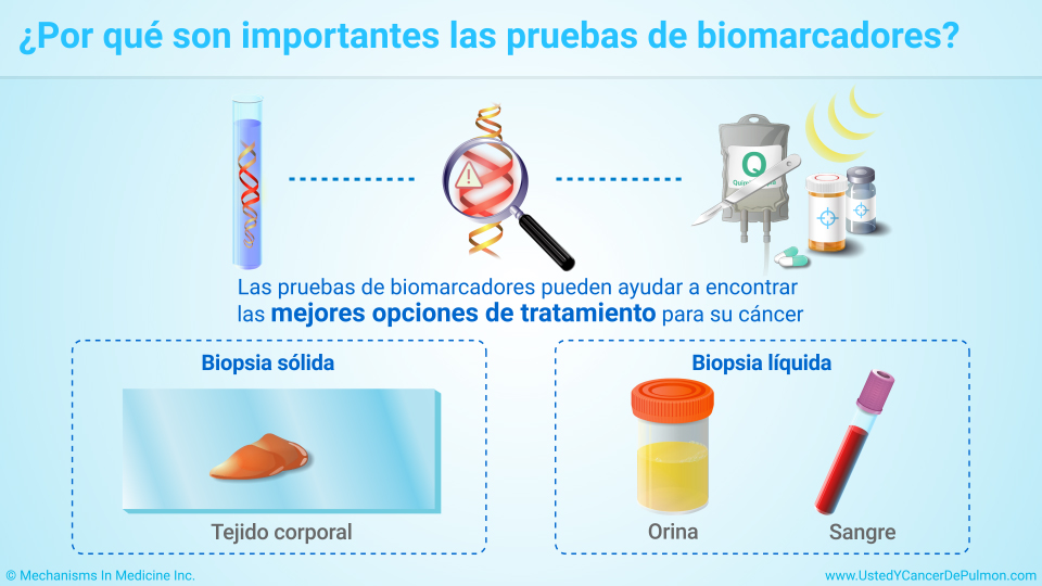 Presentación de diapositivas Comprender las pruebas de biomarcadores de cáncer de pulmón de