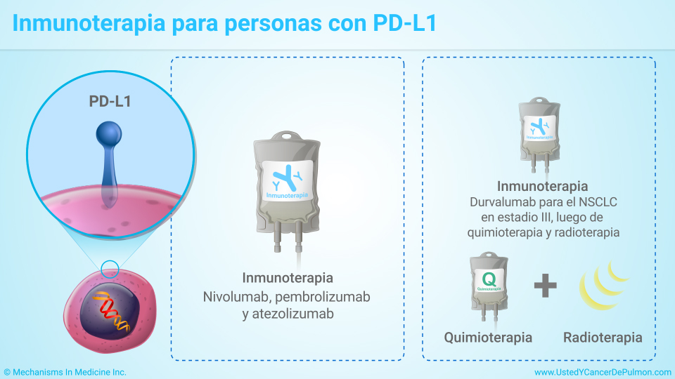 Presentación De Diapositivas Terapia Dirigida En El Cáncer De Pulmón