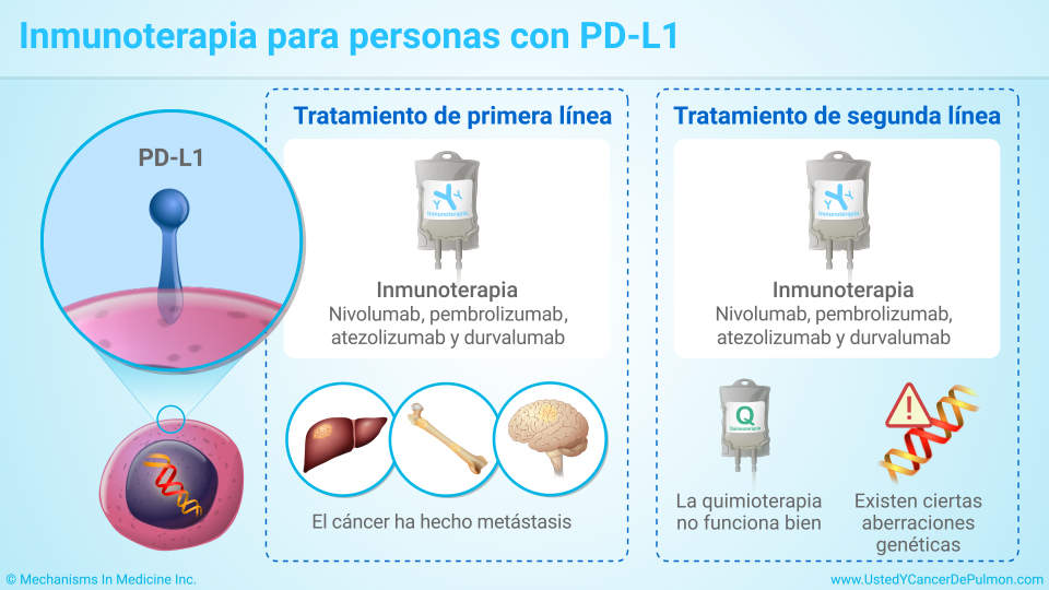 Presentación De Diapositivas Terapia Dirigida En El Cáncer De Pulmón